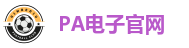 PA电子